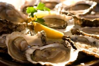tarbert seafood festival