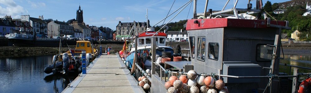tarbert loch fyne