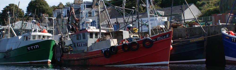 Fishing boats at Tarbert Poer